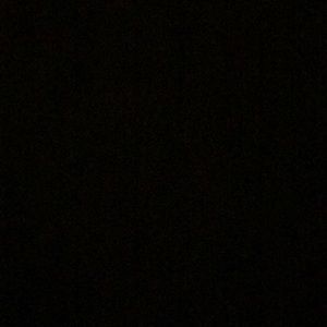 Meet your Posher, Destiney